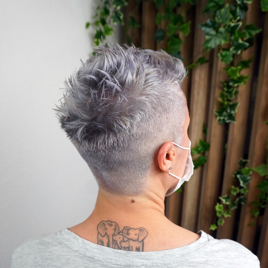 pixie-3